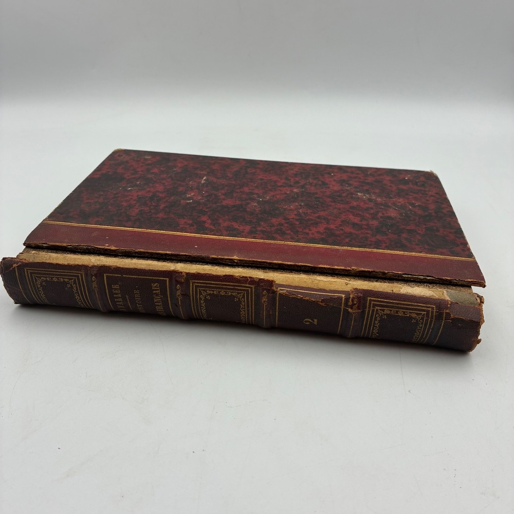 1838 Histoire des Français Tome 2 Théophile Lavallée Antique Leather French Book